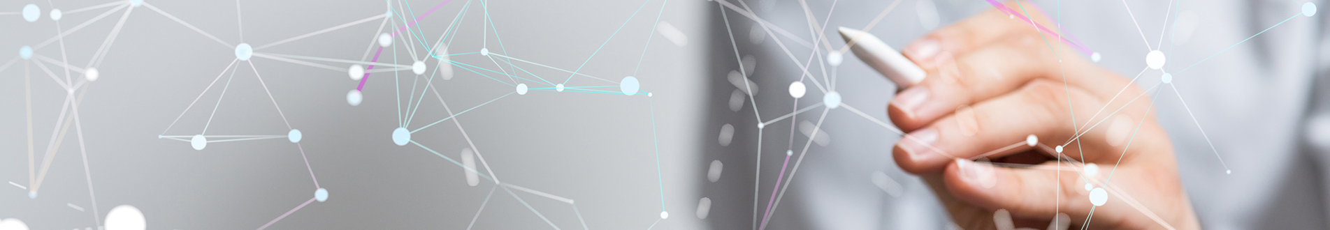 proiectare-banner