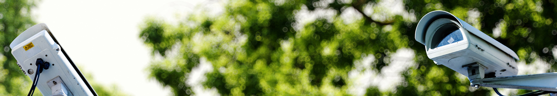 servicii-banner